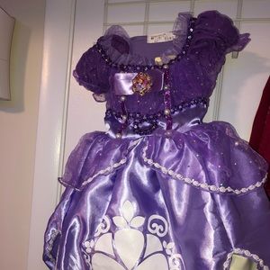 Princess Sofia dress